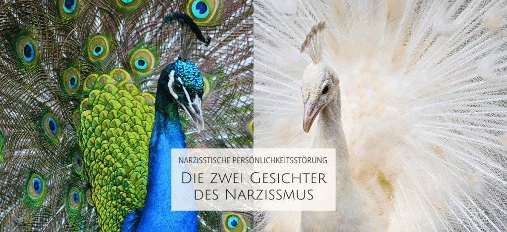 Narzissmus 2 gesichter annika kreis web