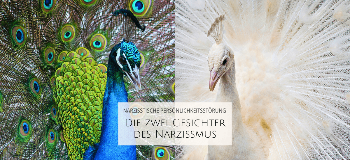 Narzissmus 2 gesichter annika kreis web