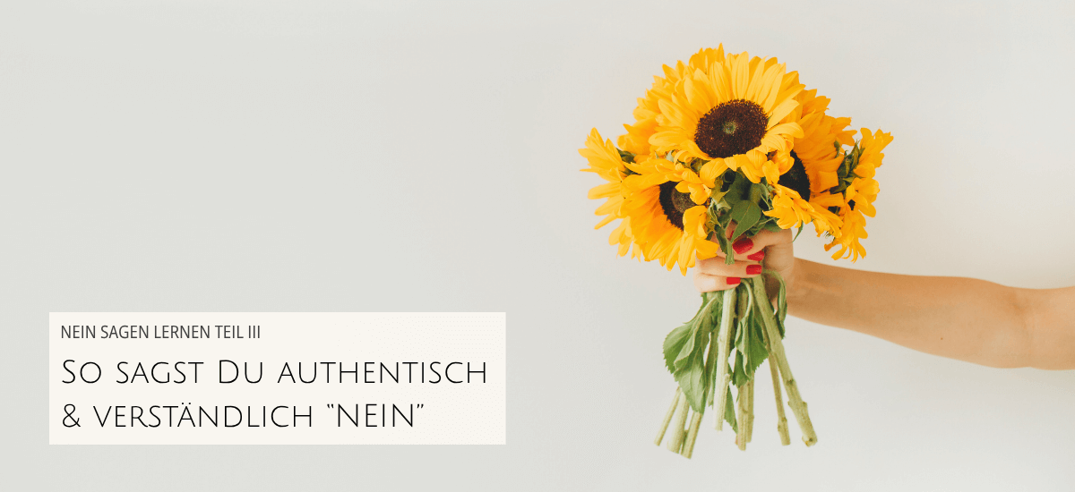 Nein sagen teil 3 annika kreis web